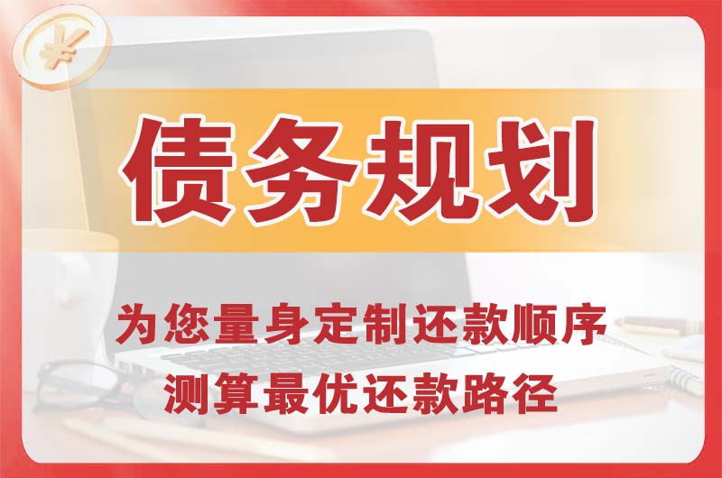 金阳债务规划